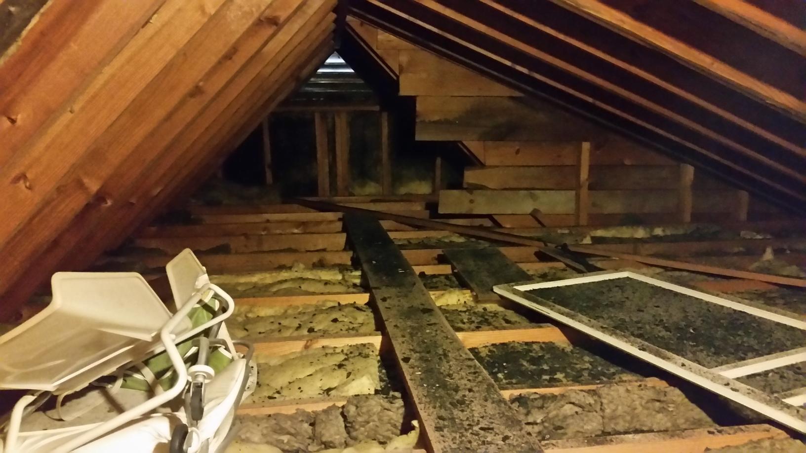 Home Insulation Services - Removing Old Insulation in Princess Anne, MD ...