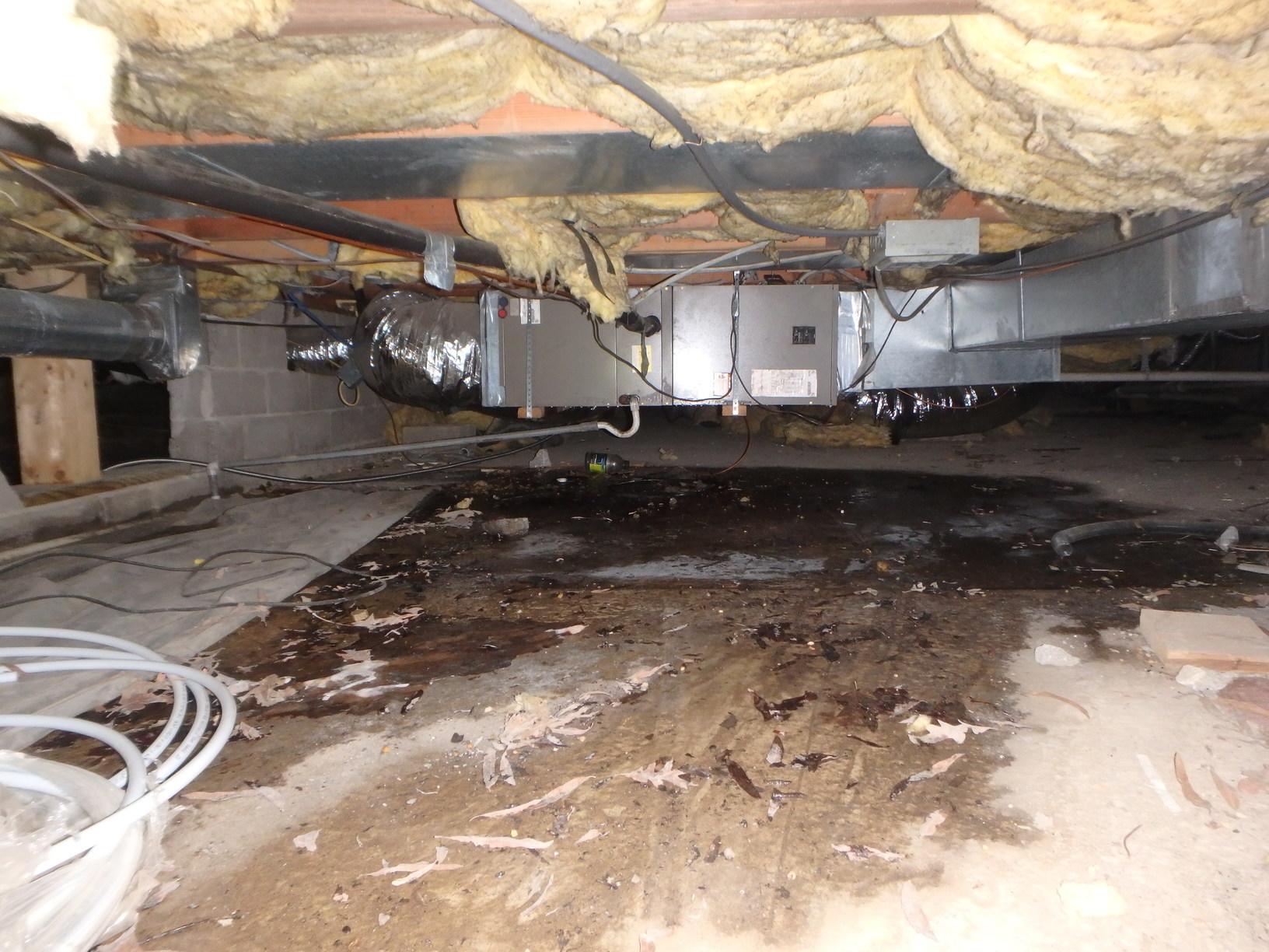 Encapsulating a Vented Crawl Space in Grasonville, MD. A Vented Crawl