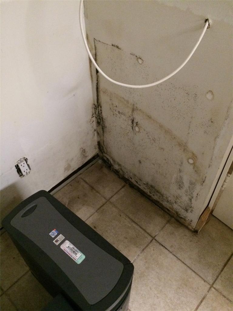 Basement Waterproofing Waterproofing with CleanSpace Wall Sheetrock