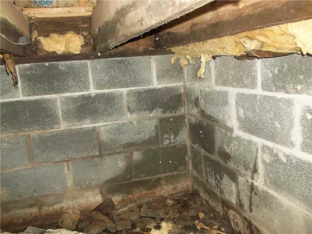 Dank Crawl Space Encapsulated and Waterproofed in WV Damp