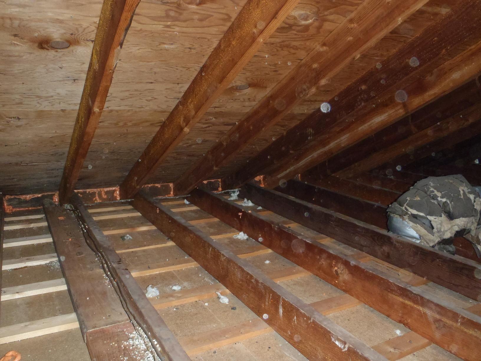 Home Insulation Services Installing Cellulose Insulation in