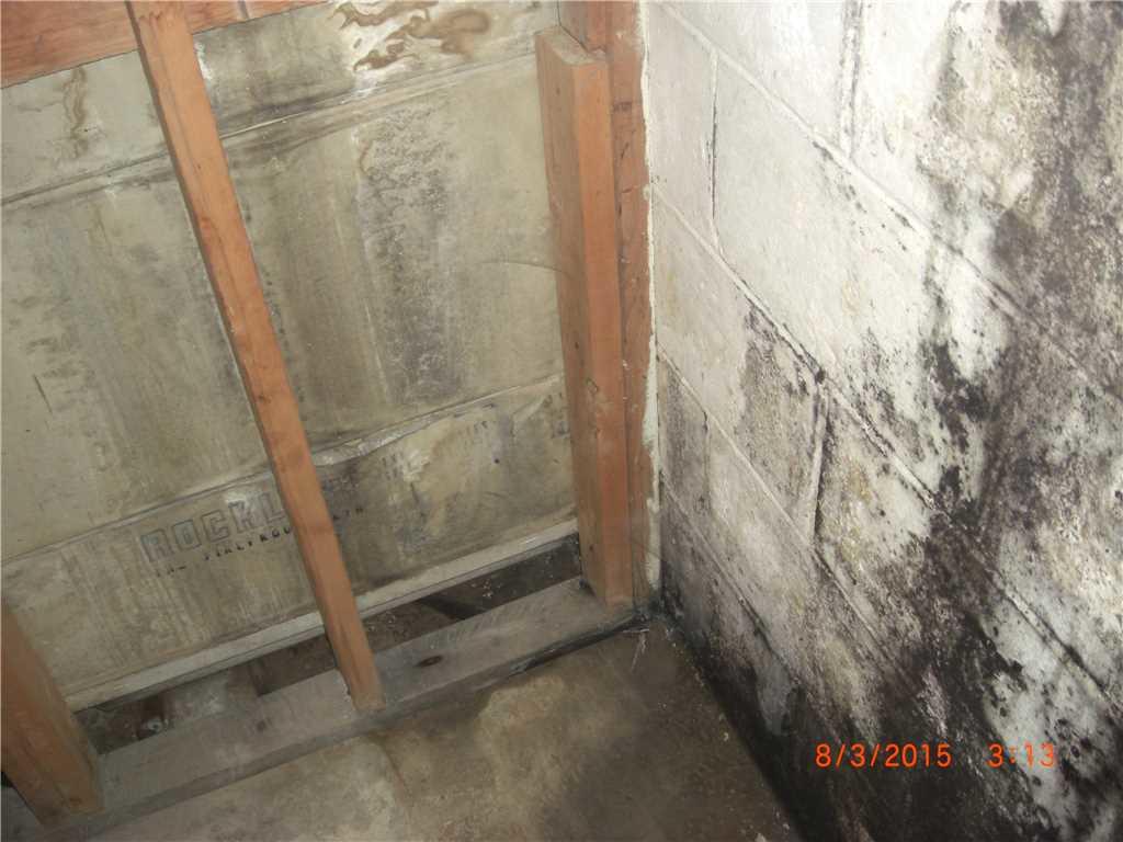 Wet Basement in Vandergrift, PA Basement Walls with Mold