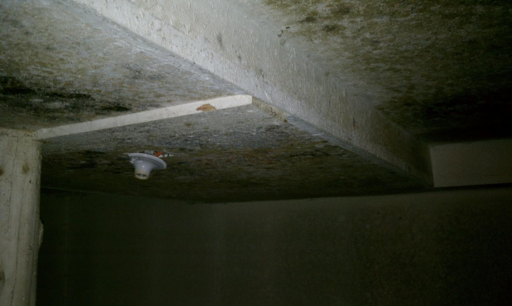 Basement Waterproofing Wet Basements and Mold Charles City Iowa