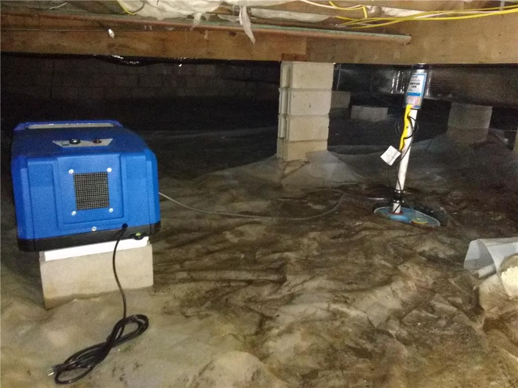 Basement Waterproofing Energy Efficient Dehumidifier in Lavallette, NJ Efficient Dehumidifier