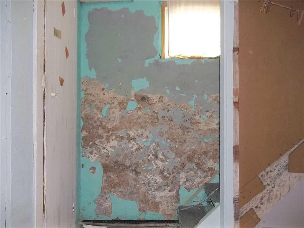 Basement Waterproofing Damp Walls in Harmony Chipped Damp Walls