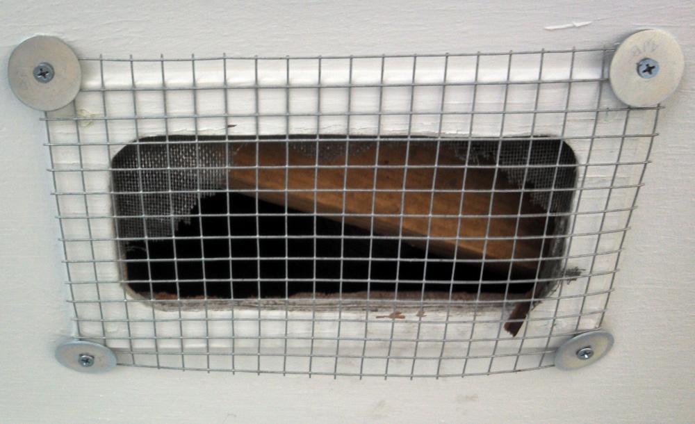 Wildlife Removal Point Pleasant Squirrel Removal and Control Sealing off one of the entry