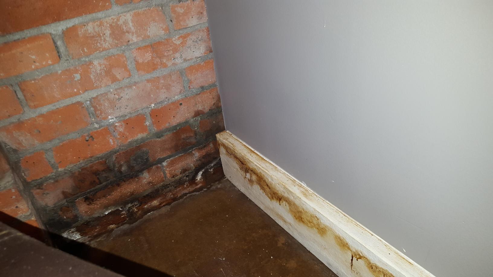  Mold growth