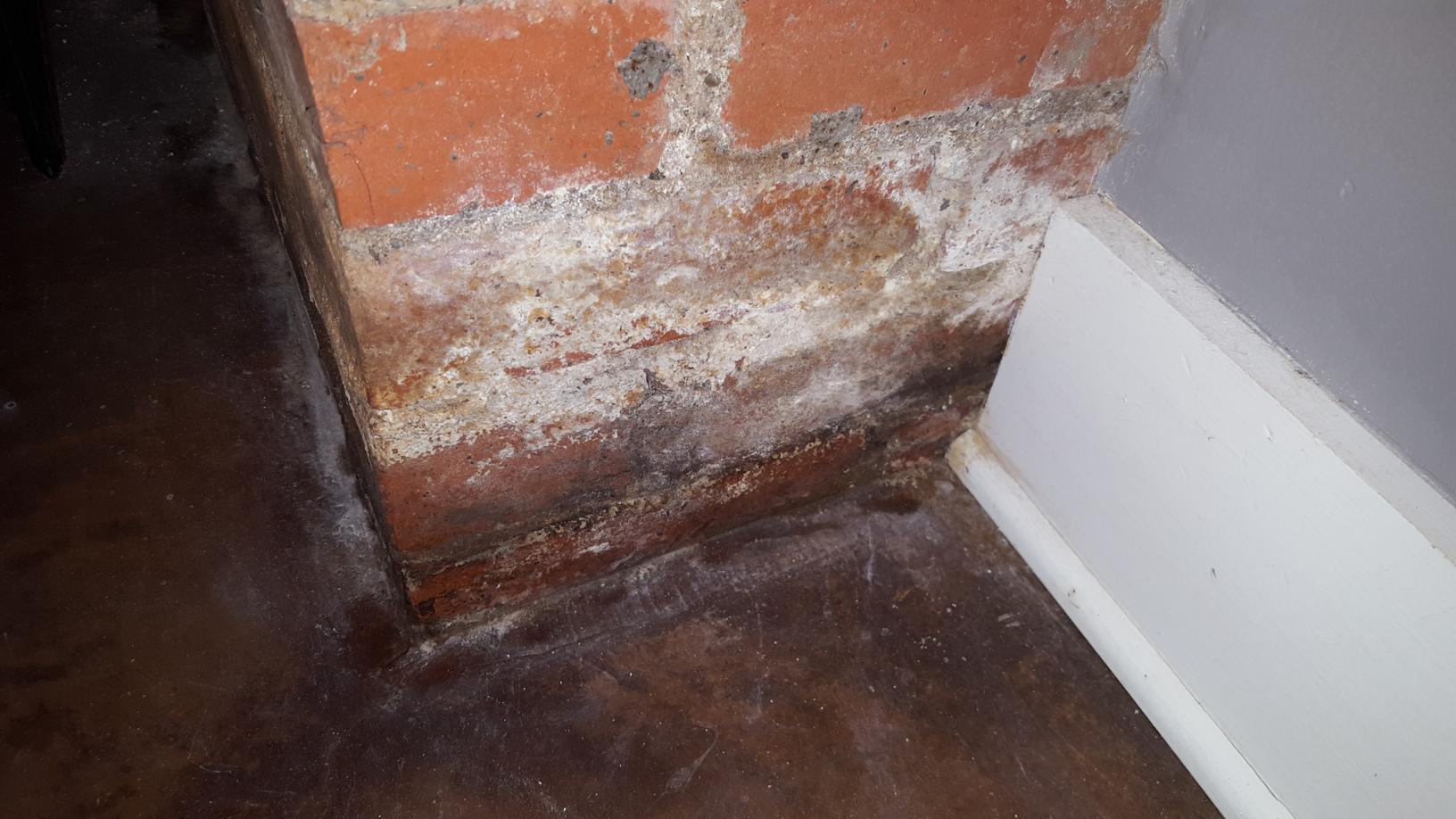  Mold damage