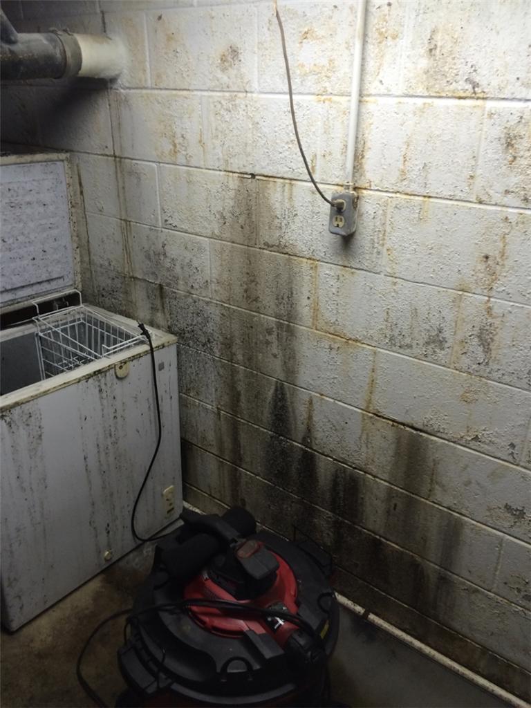 Basement Waterproofing - Fixing Another Company's Mess in Portland, MI - How To Get Rid Of Mold In The Basement