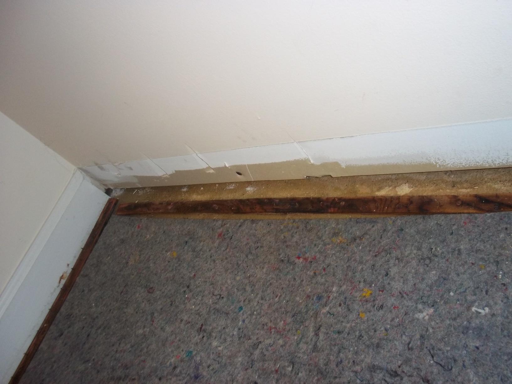 Crawl Space Repair Harrisonville, NJ Install SaniDry Dehumidifier