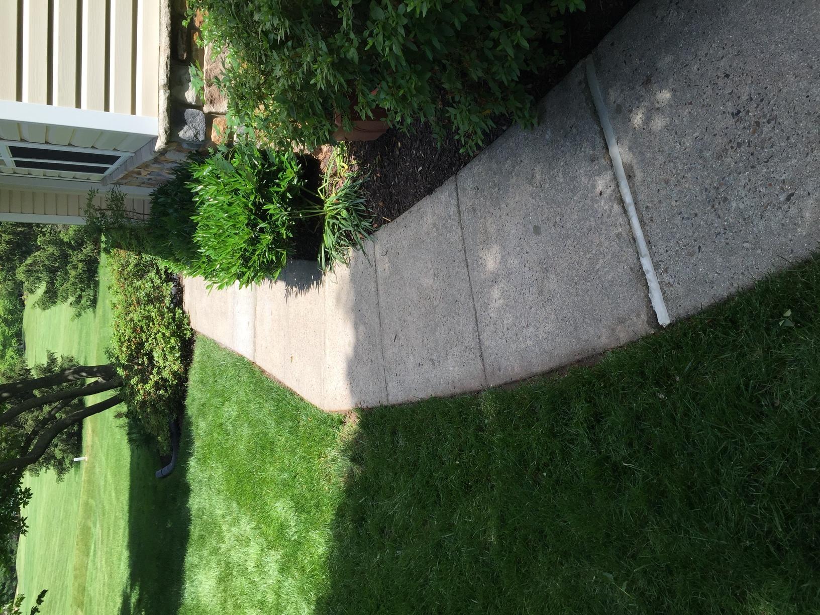 Concrete Leveling Uneven Walkway Repaired in Blue Bell, PA Re