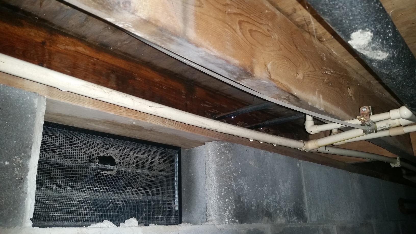 Wet, flooded crawl space in Morrison, TN! Vented Crawl space