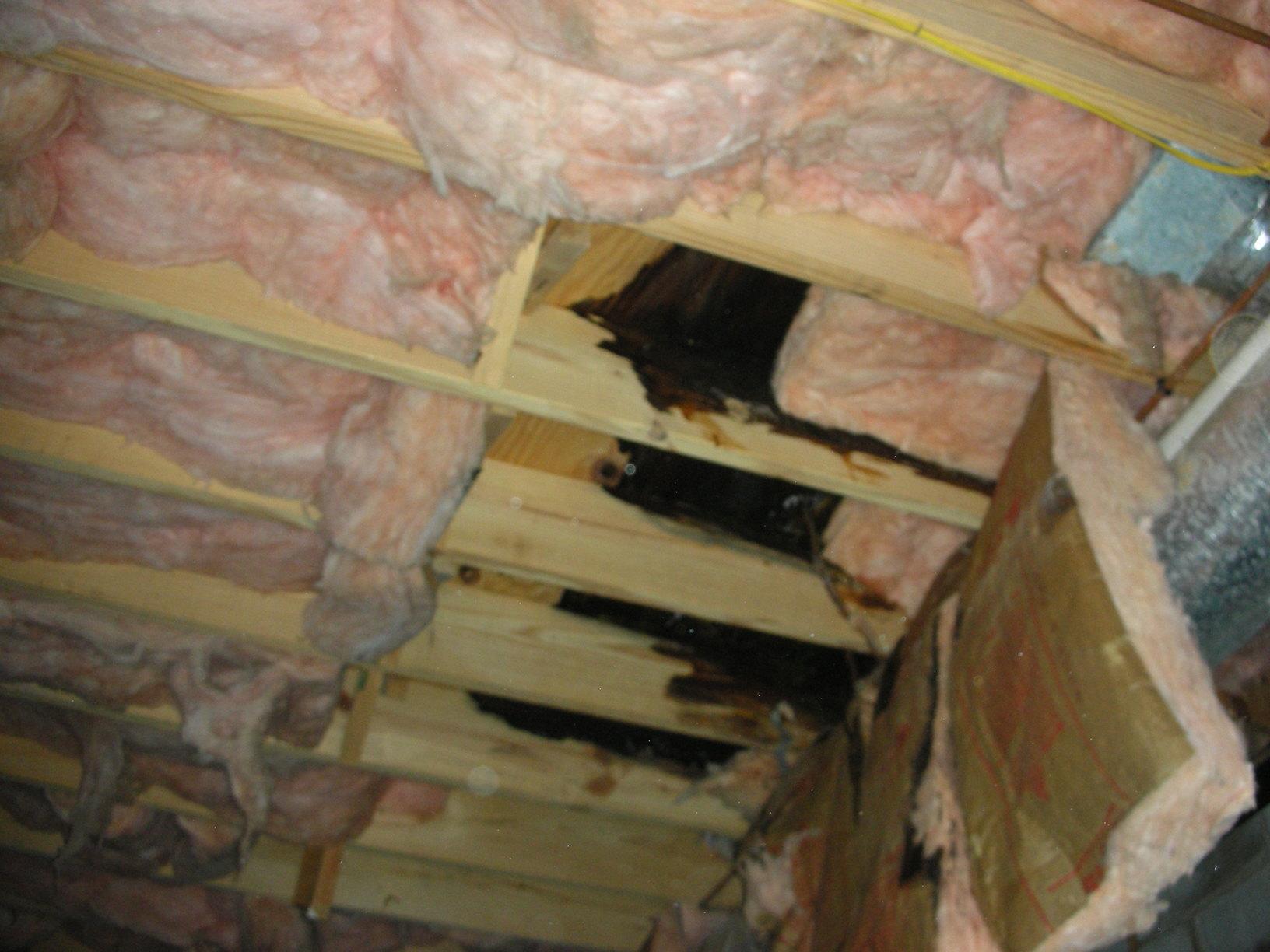 Crawl Space Repair Crawl space cleanup in Franklin, TN! Wood