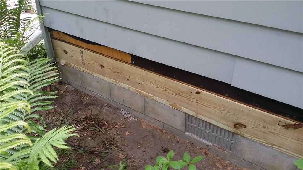 Crawl Space Repair Alpena, MI Moldy Crawl Space One of Our Moldiest