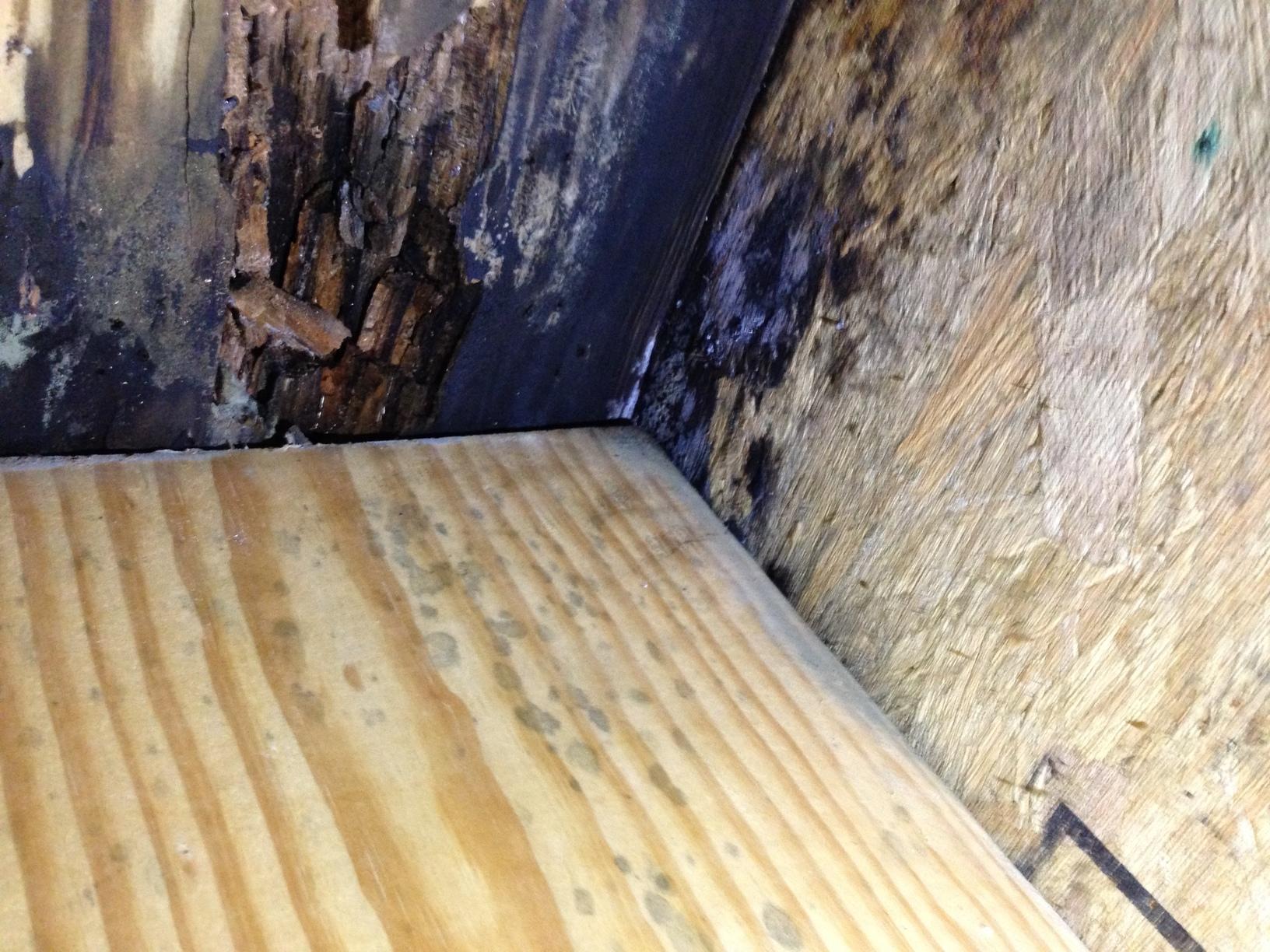 Crawl Space Repair Crawl Space repair in Bowling Green, KY! Wood