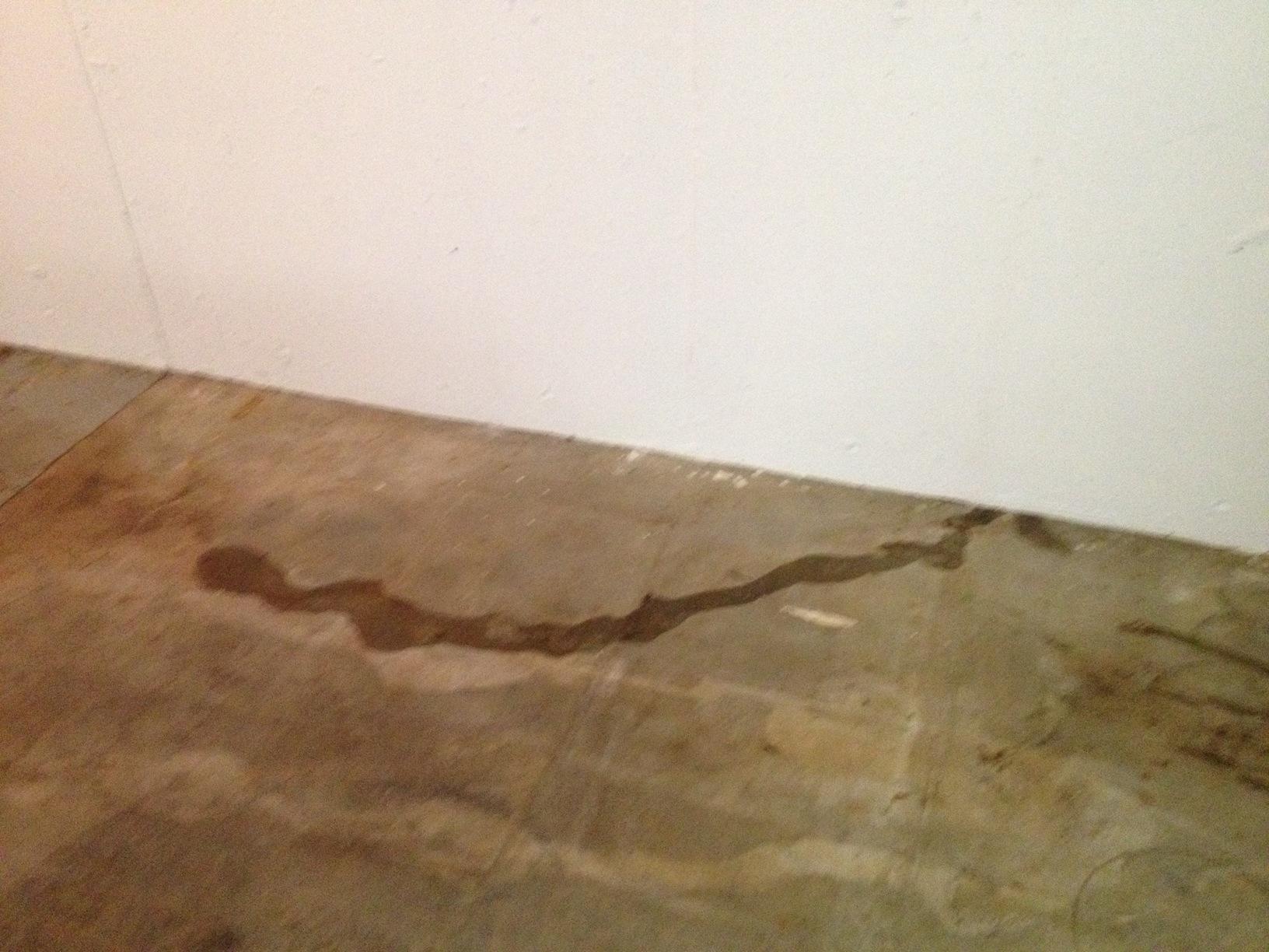 Basement Waterproofing Sill Plate Leak Glen Carbon IL Leaking Sill
