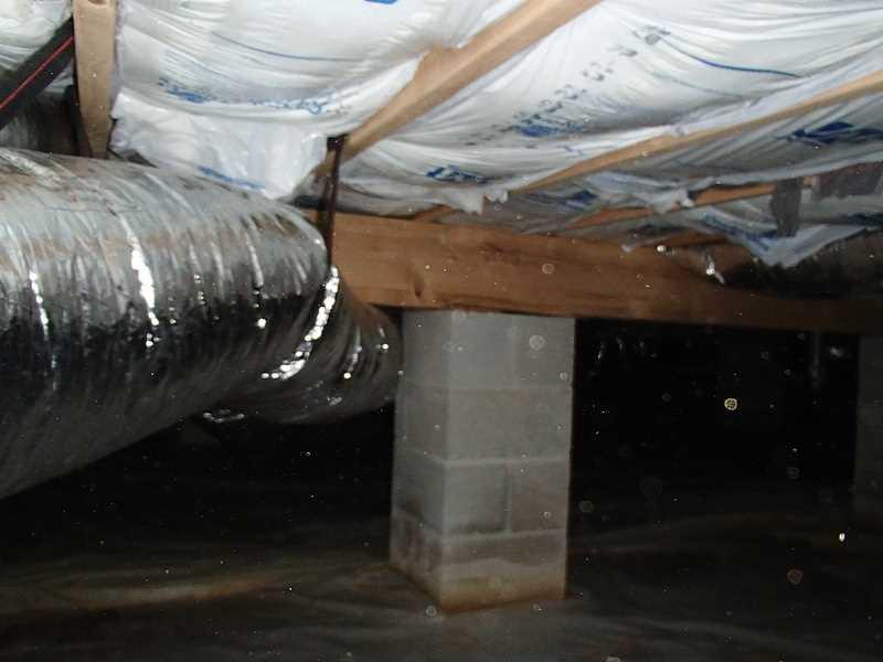 Crawl Space Repair Galena, MD Crawl Space Encapsulation Mold In The