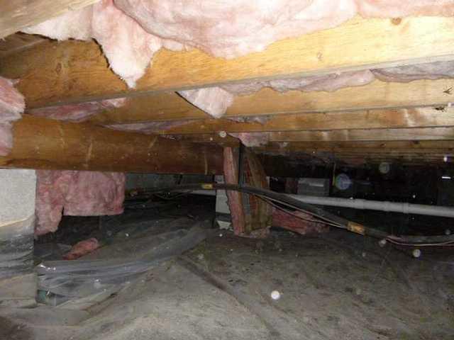 Crawl Space Needs Encapsulation