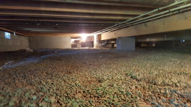Exposed dirt floors