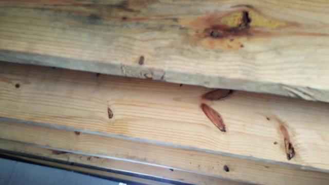 Beginning of wood deterioration