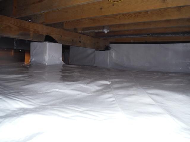 CleanSpace