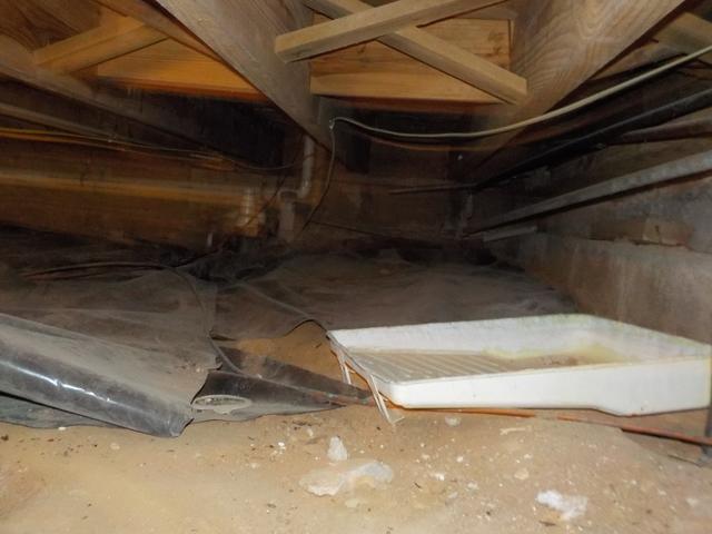 Exposed Dirt floors