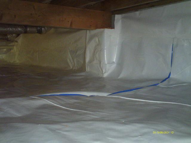 CleanSpace