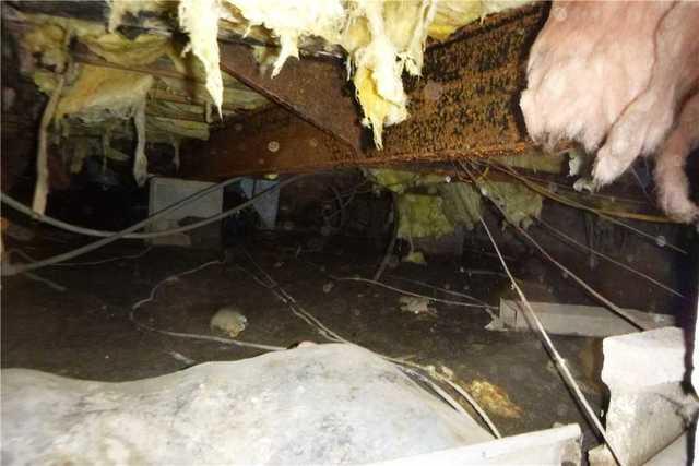Nasty Crawl Space