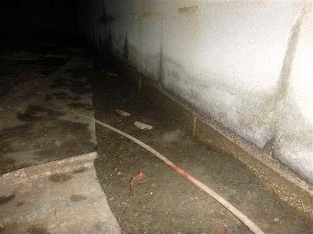 Water & Mold.. Go AWAY!