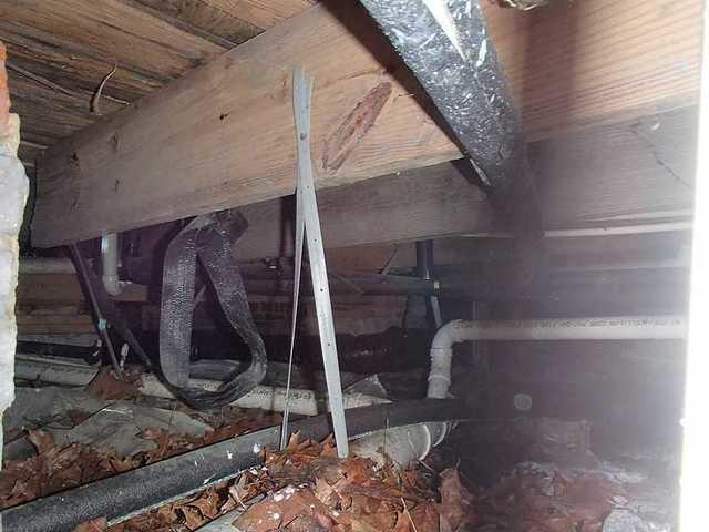 Leaves In Your Crawl Space?