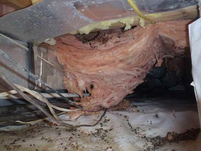 The Insulation Is Holding Too Much Moisture