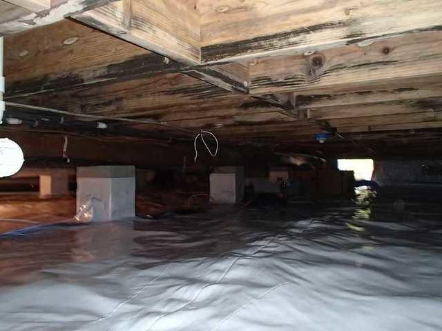 Finished Crawl Space Encapsulation in Warwick, MD