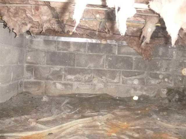 Falling Insulation & Wet Crawl Spaces