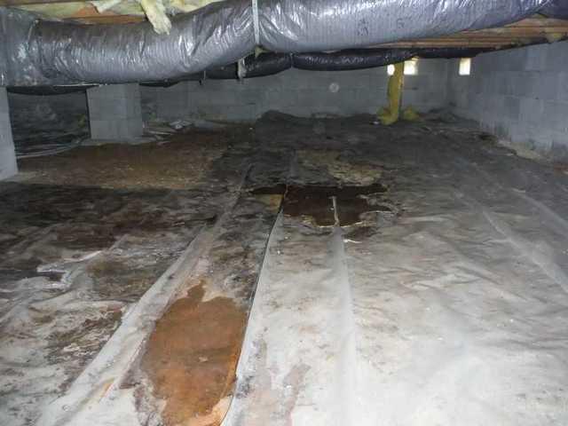 Water in the Crawl Space