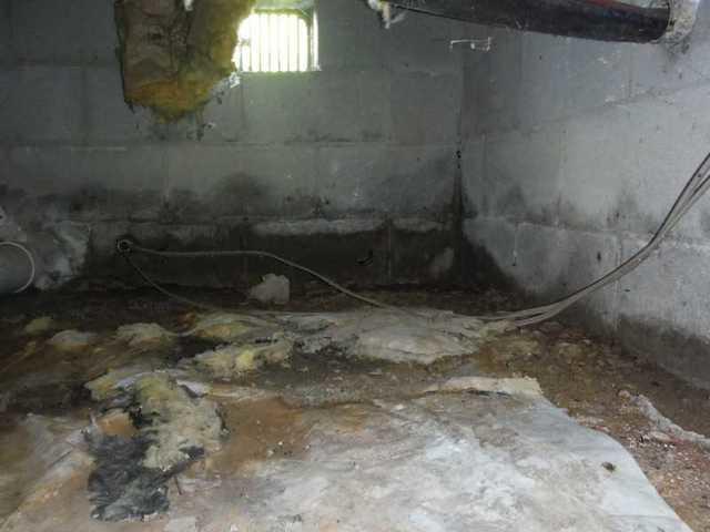 The worst crawl spaces have mold, water, debris, and falling insulation. Looks like DryZone needs to step in and take care of this nasty one! No problem for our team because we can take care of all crawl spaces.