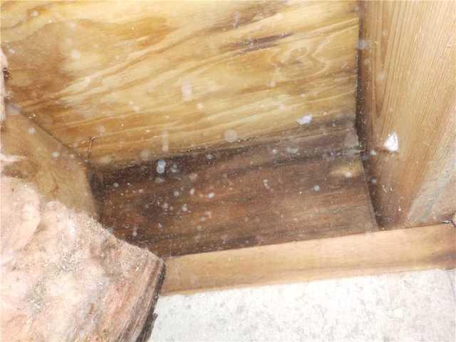 Moldy Rim Joist in Crawl Space