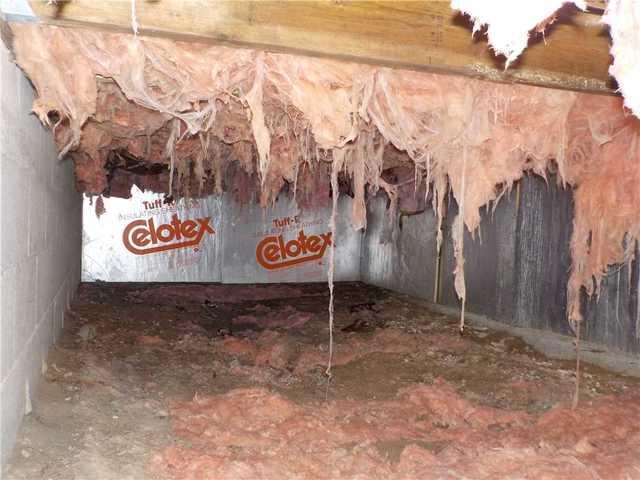 Fiberglass Insulation a Bad Choice in Crawl Spaces