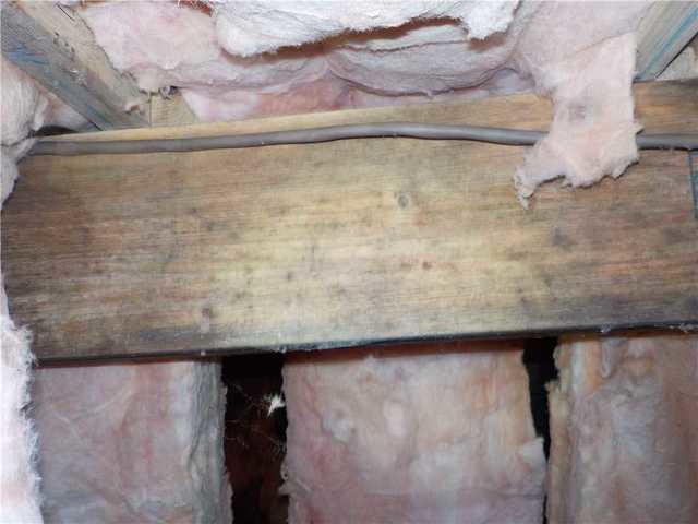 Discoloration on Beam is Actually Mold