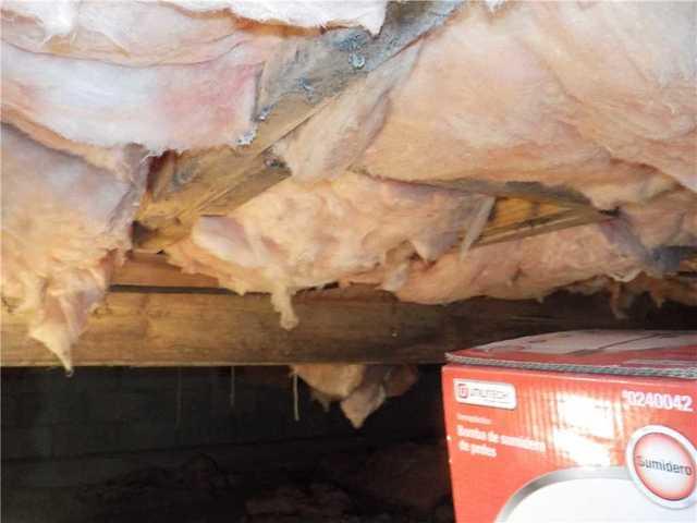 Mold Infesting Fiberglass Insulation