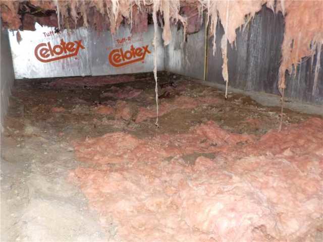 Fallen Insulation in Crawl Space