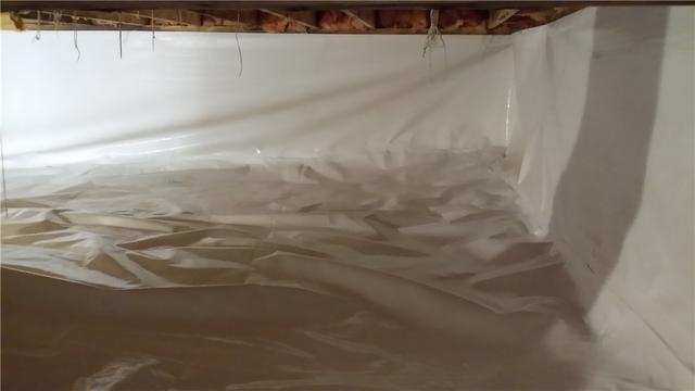 CleanSpace Eliminates Dirt and Debris