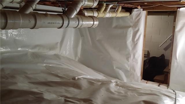 CleanSpace Keeps Up with Twists and Turns