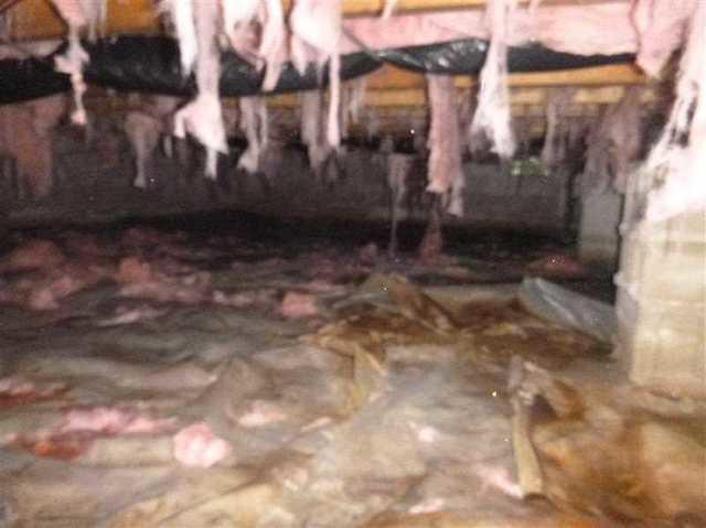 Falling Insulation In Elk Mills, MD