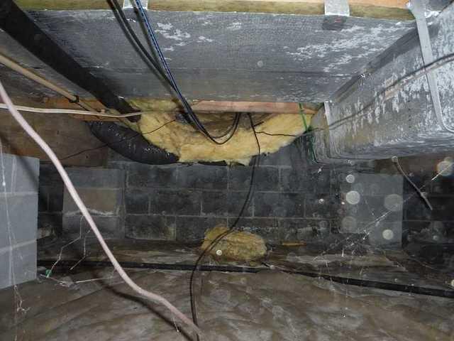 Crawl Space Needs An Encapsulation