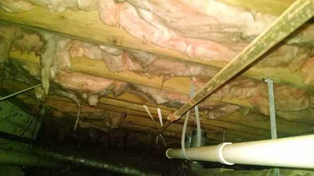 Falling Insulation in Colora, MD