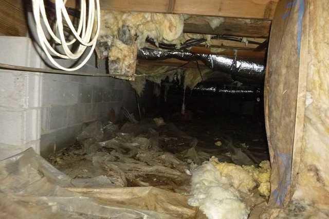 There are several issues with this crawl space. The first is the amount of debris in the area.