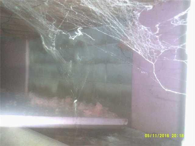 Wet Walls in Crawl Space