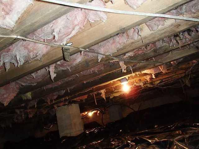 Insulation Needs to be Gone