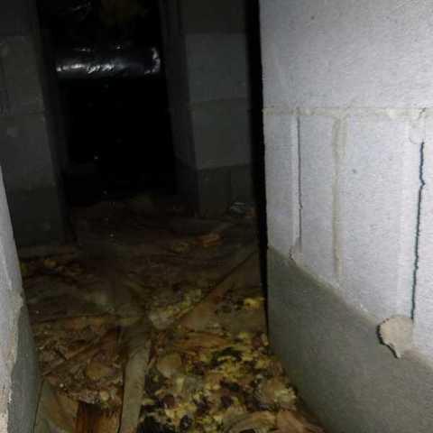 Ew! What A Nasty Crawl Space!