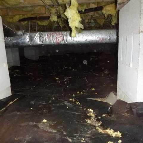 Nasty Crawl Space